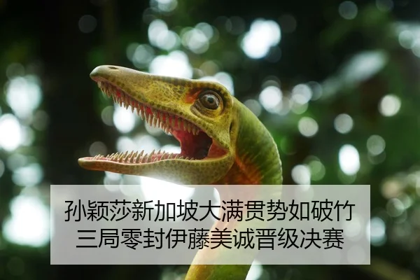 孙颖莎新加坡大满贯势如破竹 三局零封伊藤美诚晋级决赛