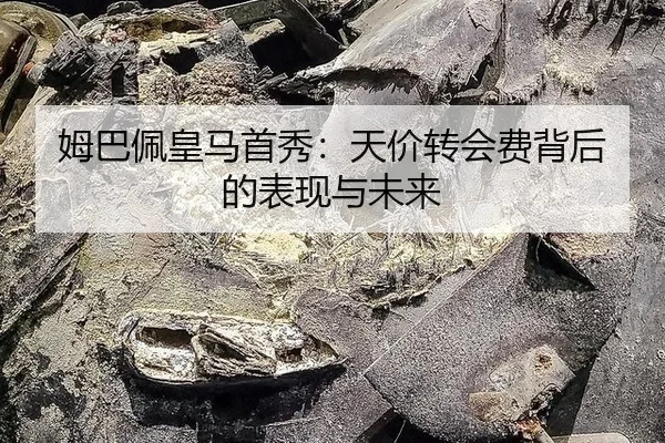 mu-ba-pei-huang-ma-shou-xiu-tian-jia-zhuan-hui-fei-bei-hou-de-biao-xian-yu-wei-lai-2-700.jpg